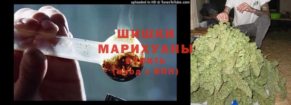 крисы Гусиноозёрск