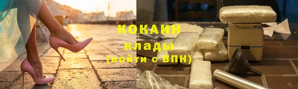 первитин Гусев