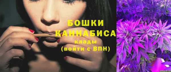 крисы Гусиноозёрск