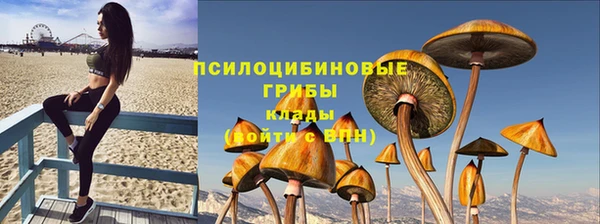 крисы Гусиноозёрск