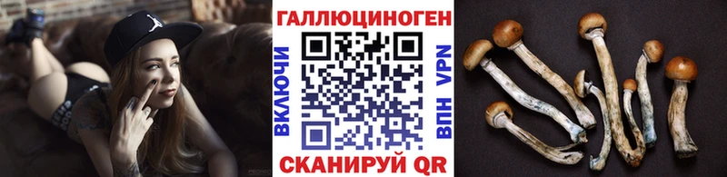 закладка  Обнинск  Псилоцибиновые грибы прущие грибы 